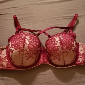 GORGEOUS criss cross merlot Torrid bra
